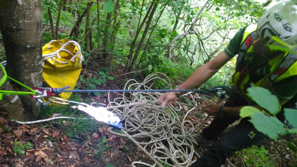 CANE SCAPPA NEL BOSCO E MUORE FINENDO IN UN CANALE