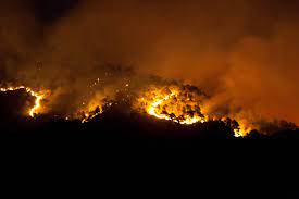 NOVENTA PADOVANA. LIEVE INCENDIO ALLA VILLA TODESCHINI